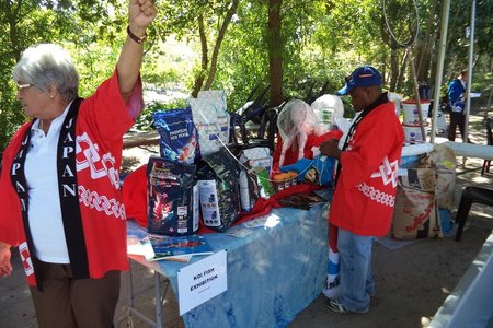 Servaas de Kock se KoiNet-stalletjie tydens die Japanse-dag in Stellenbosch wat baie aandag getrek het